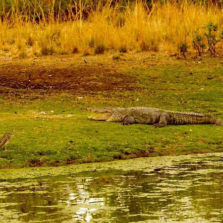 Aura Wildlife Camp And Resorts Marchula Bagian luar foto